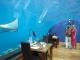 Hilton Maldives Resort & Spa Ithaa Restaurant