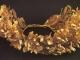 Vergina: King Philippos Gold Crown found inside the Gold Larnax