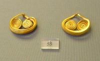 55. Gold earrings made of thick wire ending in spirals. 