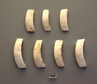 8602. Boar's tusks from a helmet. Grave Nu