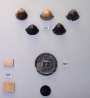 7587. Ivory plaques in the form of sea shells. 'House of the Sphinxes', end of 13th cent. BC.