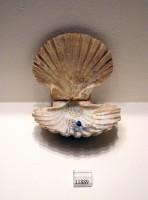 11889. Shell with a lump and traces of blue pigment inside. 