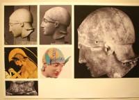Πολύχρωμοι Θεοί: Πληροφοριακή φωτογραφία για την έρευνα που έγινε για τον επιχρωματισμό του πρωτοτύπου της Κεφαλής του Πολεμιστή