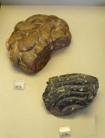 2656. Stone locks, possibly from the hairpiece of a large wooden figurine.