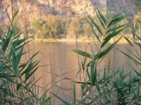 Kaiafa Lake: A very important Biotope
