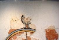 11672, 11671. Wall-paintings depicting figure-of-eight shields with a suspension strap at the middle. (Greater Detail)