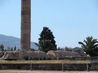 Sanctuary of Olympian Zeus: The fallen column from afar