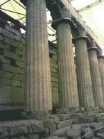 Temple of Epikourios Apollo at Vassae