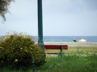 Λουτρά Αιδηψού: Συνηθισμένη σκηνή στην παραλία Αγίου Νικολάου
