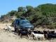 Rhodes Land Rover Safari: Traffic congested mountain trail