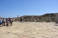 Delos Archaeological Site: Towards the Sacred Way (Nr 5)