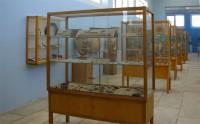 Delos Archaeological Museum: Windows with pottery and ivory finds
