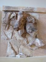Οι μετόπες του θησαυρού Αθηναίων: Ο Ηρακλής και το λιοντάρι της Νεμέας