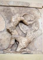Οι μετόπες του θησαυρού Αθηναίων: Σκηνή Αμαζονομαχίας 