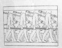 Ο Μονόπτερος Θησαυρός των Σικυωνίων: Οι Διόσκουροι και η κλοπή των βοδιών (Σχεδίασμα)