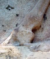 Ανατολική πλευρά της ζωφόρου του Θησαυρού των Σιφνίων (525 π.Χ.) Σκηνή μάχης ανάμεσα σε Έλληνες και Τρώες (Λεπτομέρεια)
