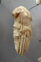 The sanctuary of Athena Pronaia, the Τholos: Sculptures from the small interior metopes of the Tholos