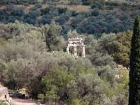 Το ιερό της Αθηνάς Προναίας, με την ημιαποκατεστημένη Θόλο όπως φαίνεται μέσα στον ελαιώνα από την είσοδο του μουσείου
