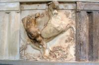 Το Ιερό της Αθηνάς Προναίας, η Θόλος: Γλυπτά από τις μεγάλες μετόπες της εξωτερικής ζωφόρου της Θόλου