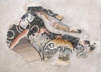 Delos Archaeological Museum: Bird Mosaic, probably a partridge