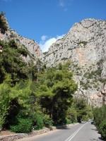 The Sanctuary of Delphi