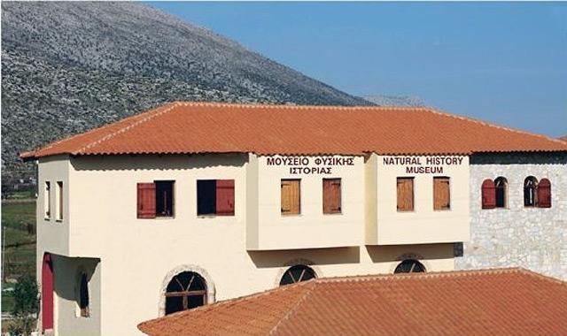 Kotsiomitis museum premises