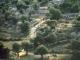 Paros: Byzantine Stone-paved path from Lefkes to Prodromos