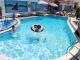 Koala Hotel Swimming Pool