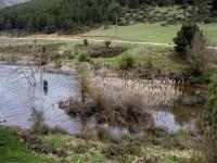 Φενεός: Υδροβιότοπος με φωλιές πουλιών στη τεχνητή λίμνη Δόξα