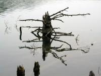 Feneos (Doxa) Lake: When Nature makes Art