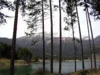 Feneos (Doxa) Lakeside Pine Trees