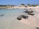 Χανιά: Παραλία στην Ελαφόνησο