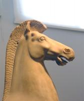 Akr 697. Forepart of a Horse (Head Detail)