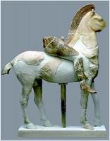 Akr 606. The Persian Rider (Full Profile)