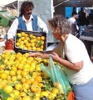 Oranges to produce Orange Juice Cheaper than Mineral Water!