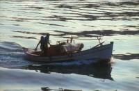 Mykonos Fishing Boat bringing in the catch. (Foto by Ramon Villero)