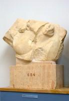 Akr 884.  Part of Horse-head from the West Parthenon Pediment