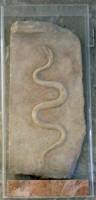 ΝΑΓ 89-4957 Votive relief representing a snake