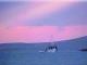 Πάρος: Ηλιοβασίλεμα στην παραλία Αλυκής