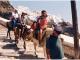 Santorini Fira Donkey-Taxi